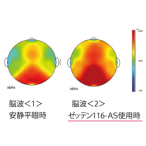 脳波の実験データ