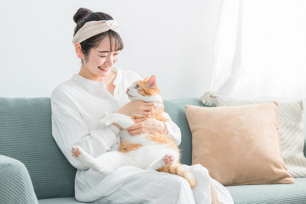 猫と女性