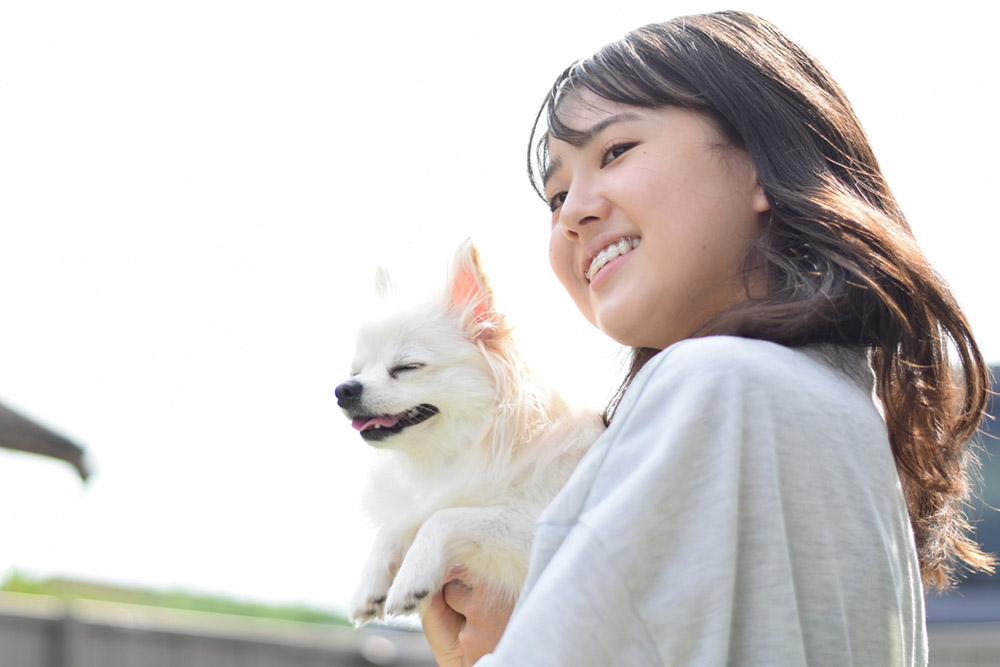 犬と女性